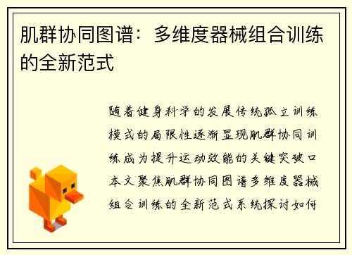 肌群协同图谱：多维度器械组合训练的全新范式