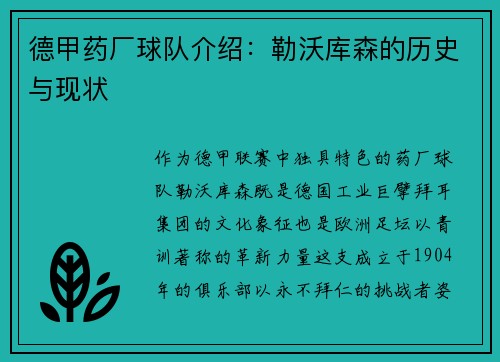 德甲药厂球队介绍：勒沃库森的历史与现状