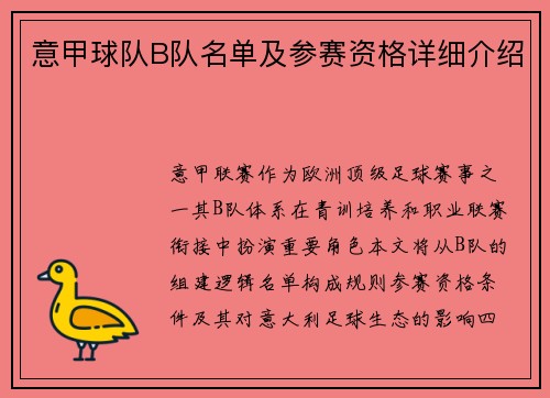 意甲球队B队名单及参赛资格详细介绍