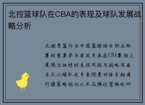 北控篮球队在CBA的表现及球队发展战略分析
