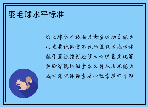 羽毛球水平标准